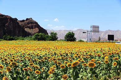 Apple Arcade版《魔法气泡 益智消消乐》6月27日迎来第三次版本更新