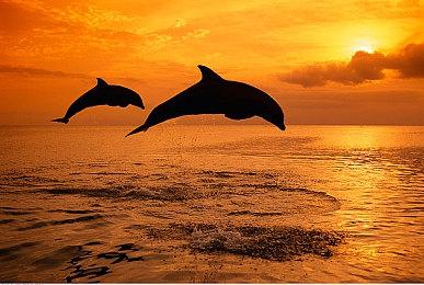 《魔法餐作室》登陆多平台发售 治愈系像素风魔法料理